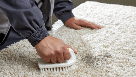 Professional Rug Cleaning Exford